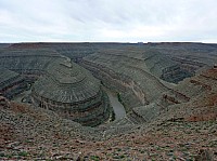 gooseneck (11).JPG